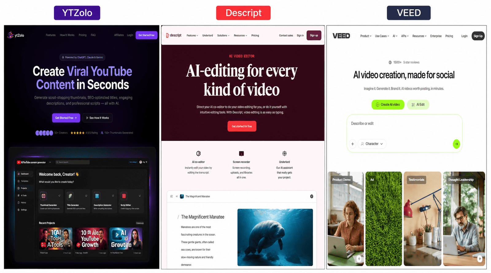 Infographic comparing the core focus areas of YTZolo, Descript, and VEED for YouTube content creation.